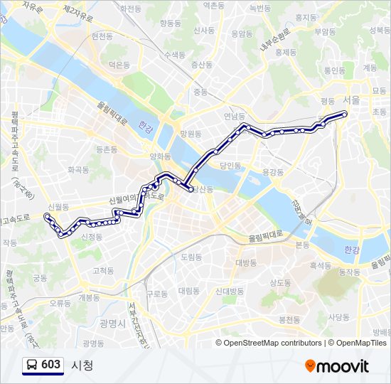 603 버스 노선 지도