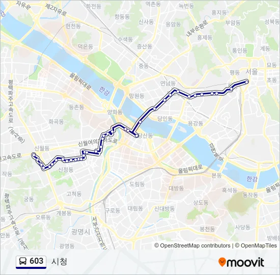 603 버스 노선 지도
