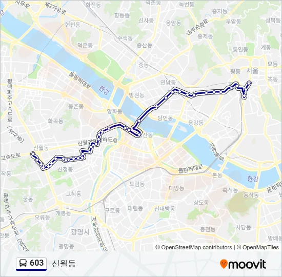 603 버스 노선 지도