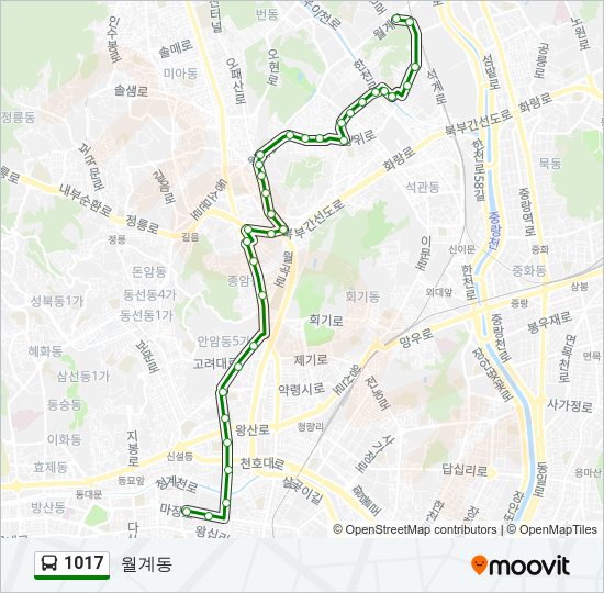 1017 버스 노선 지도