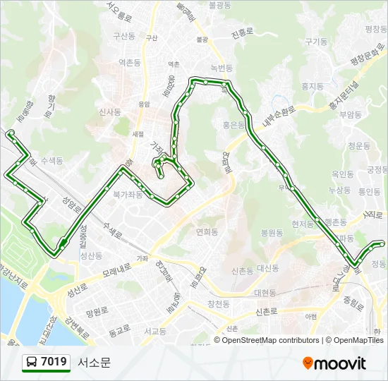 7019 버스 노선 지도