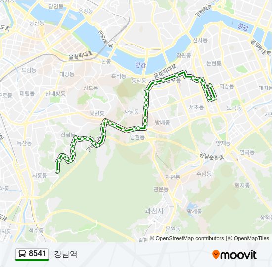 8541 버스 노선 지도