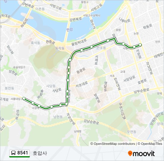 8541 버스 노선 지도