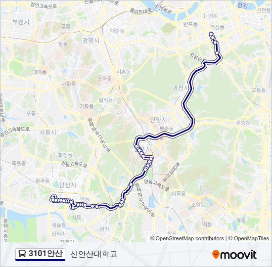 3101안산 버스 노선 지도