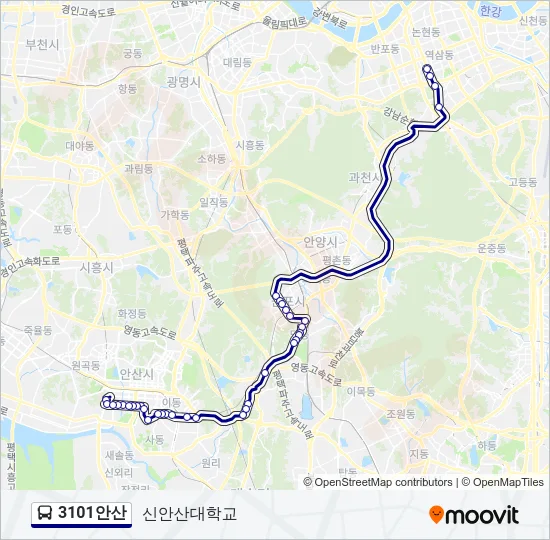3101안산 버스 노선 지도