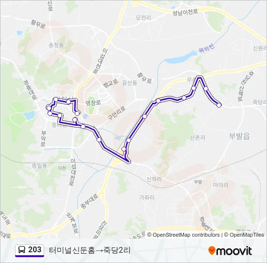 203 버스 노선 지도