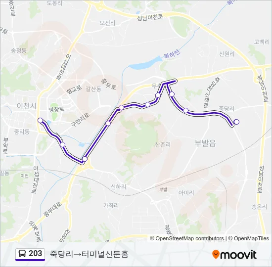 203 버스 노선 지도