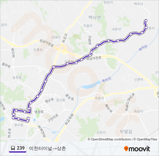 239 버스 노선 지도