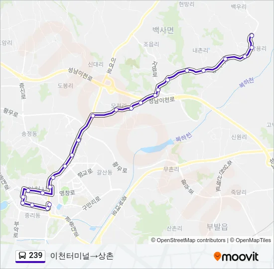 239 버스 노선 지도