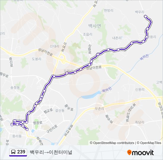 239 버스 노선 지도