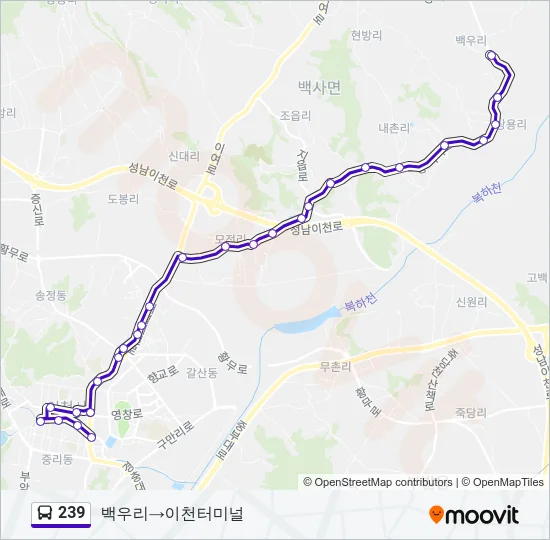 239 버스 노선 지도
