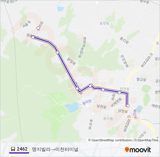 2462 버스 노선 지도