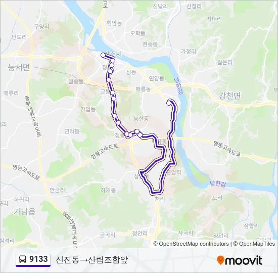 9133 Bus Line Map