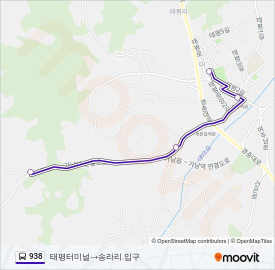 938 bus Line Map