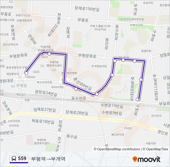 559 버스 노선 지도