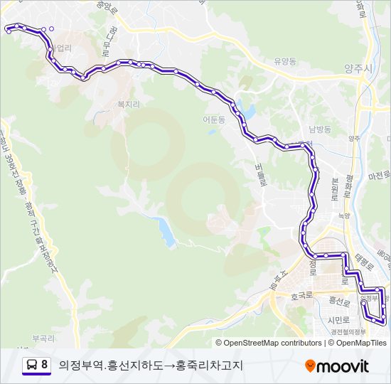8 버스 노선 지도