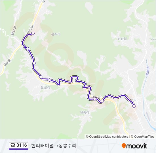 3116 버스 노선 지도