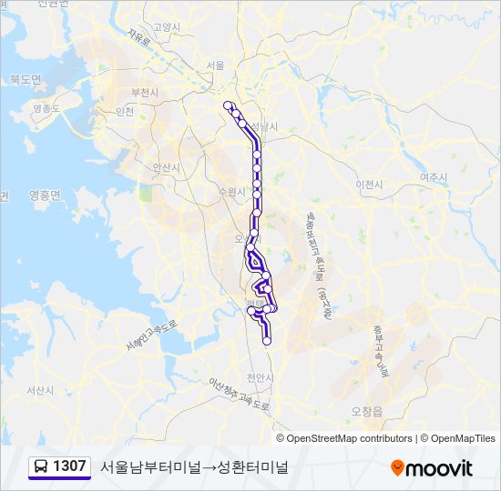 1307 버스 노선 지도