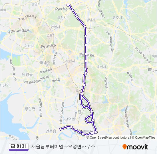 8131 버스 노선 지도