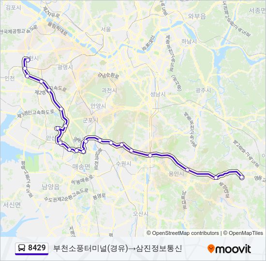 8429 버스 노선 지도