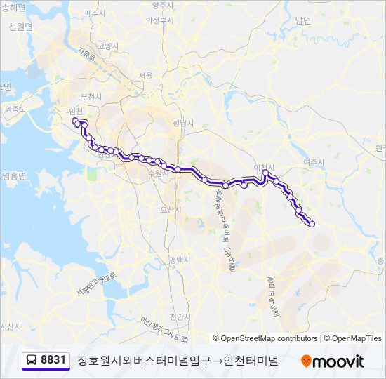 8831 버스 노선 지도