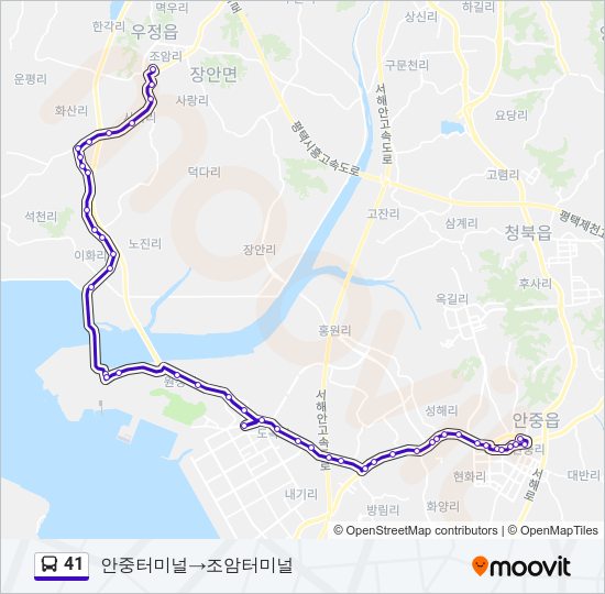 41 버스 노선 지도