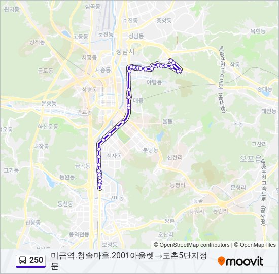 250 버스 노선 지도