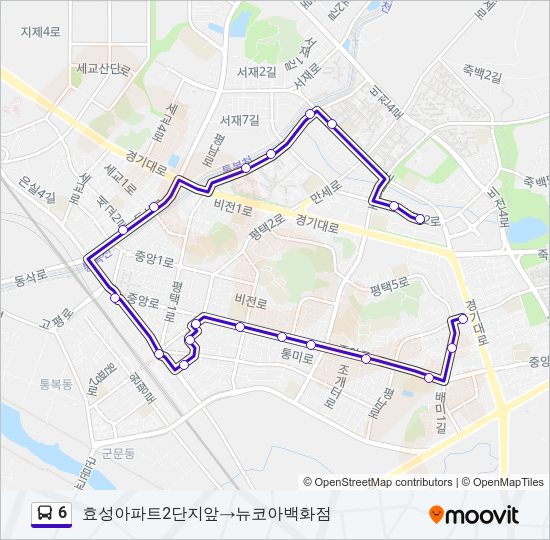 6 버스 노선 지도