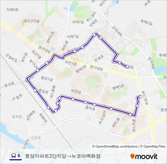 6 버스 노선 지도