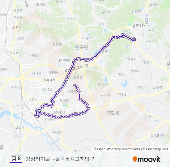 8 버스 노선 지도
