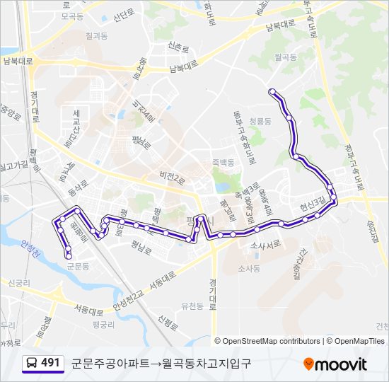 491 버스 노선 지도
