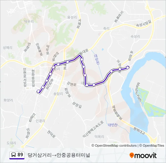 89 Bus Line Map