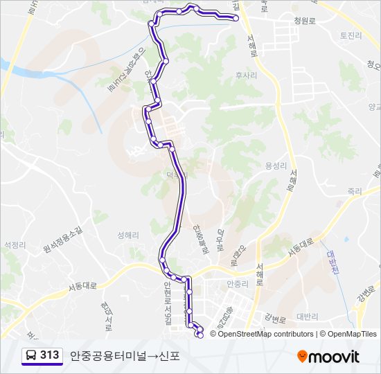313 버스 노선 지도