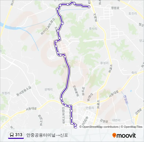 313 Bus Line Map