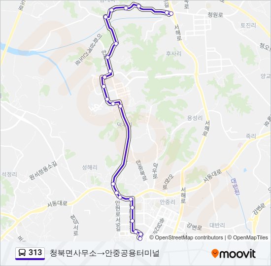 313 버스 노선 지도