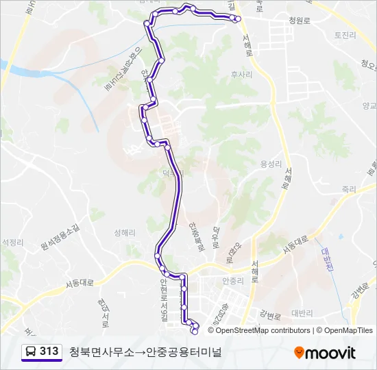313 버스 노선 지도