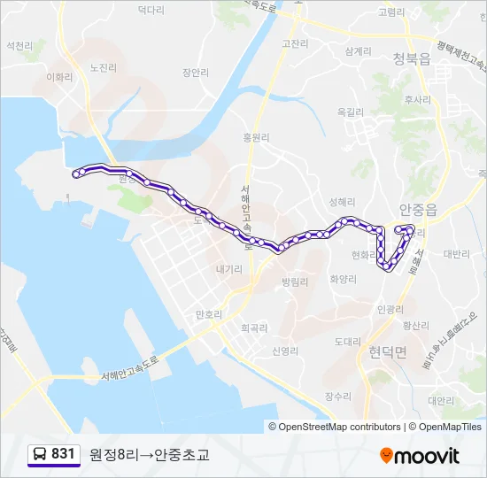 831 버스 노선 지도