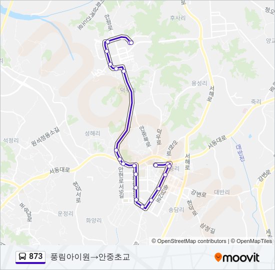 873 버스 노선 지도