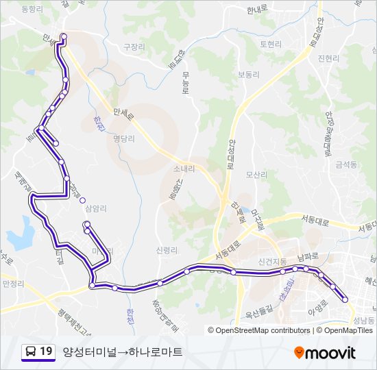 19 버스 노선 지도