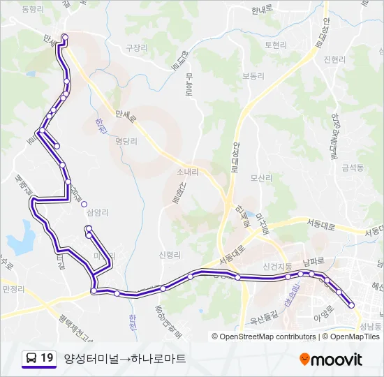 19 버스 노선 지도
