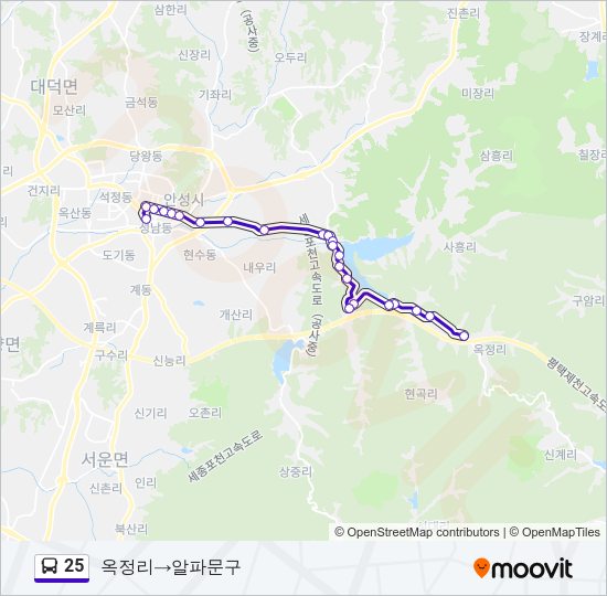 25 버스 노선 지도
