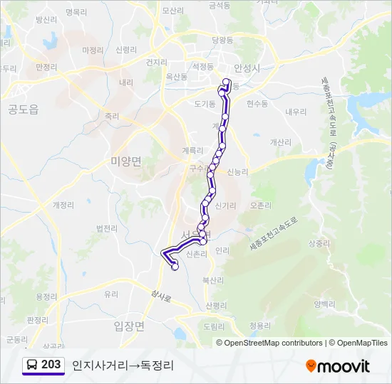 203 버스 노선 지도