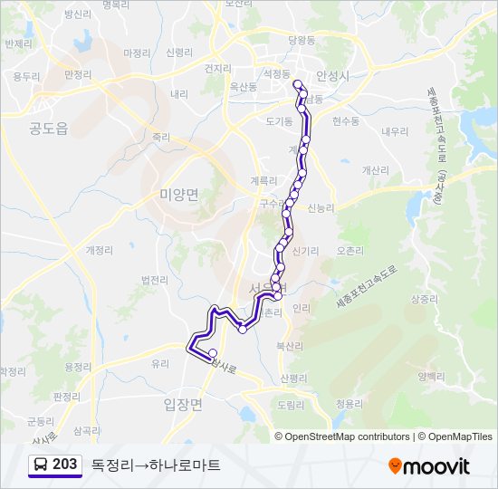 203 버스 노선 지도