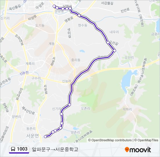 1003 버스 노선 지도