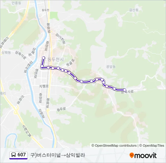 607 버스 노선 지도