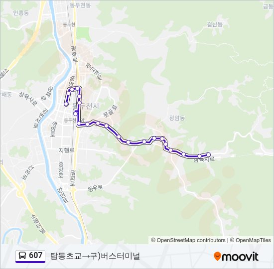 607 버스 노선 지도
