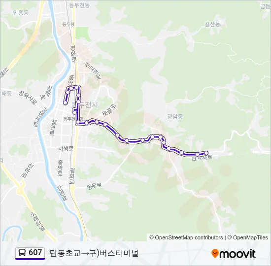 607 Bus Line Map