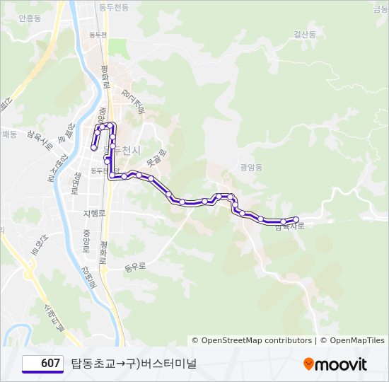 607 bus Line Map
