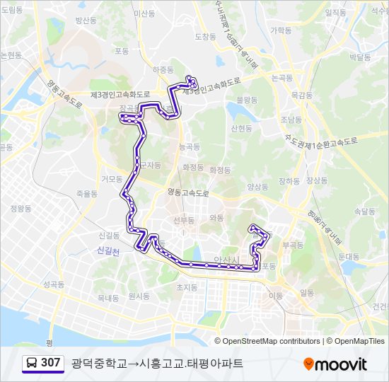 307 버스 노선 지도