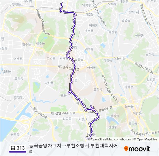 313 버스 노선 지도